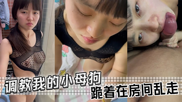 调教我的小母狗跪着在房间乱走.